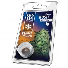 Mango Kush Jelly CBG 33%